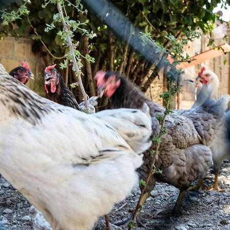Tenuta Fonte Mosco' Ponzano di Fermo 외부 사진