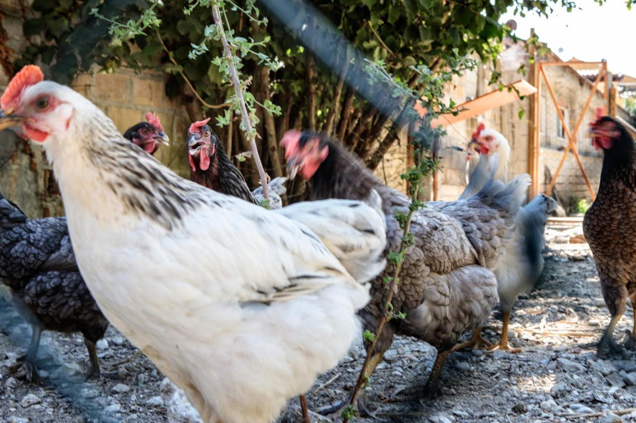 Tenuta Fonte Mosco' Ponzano di Fermo 외부 사진