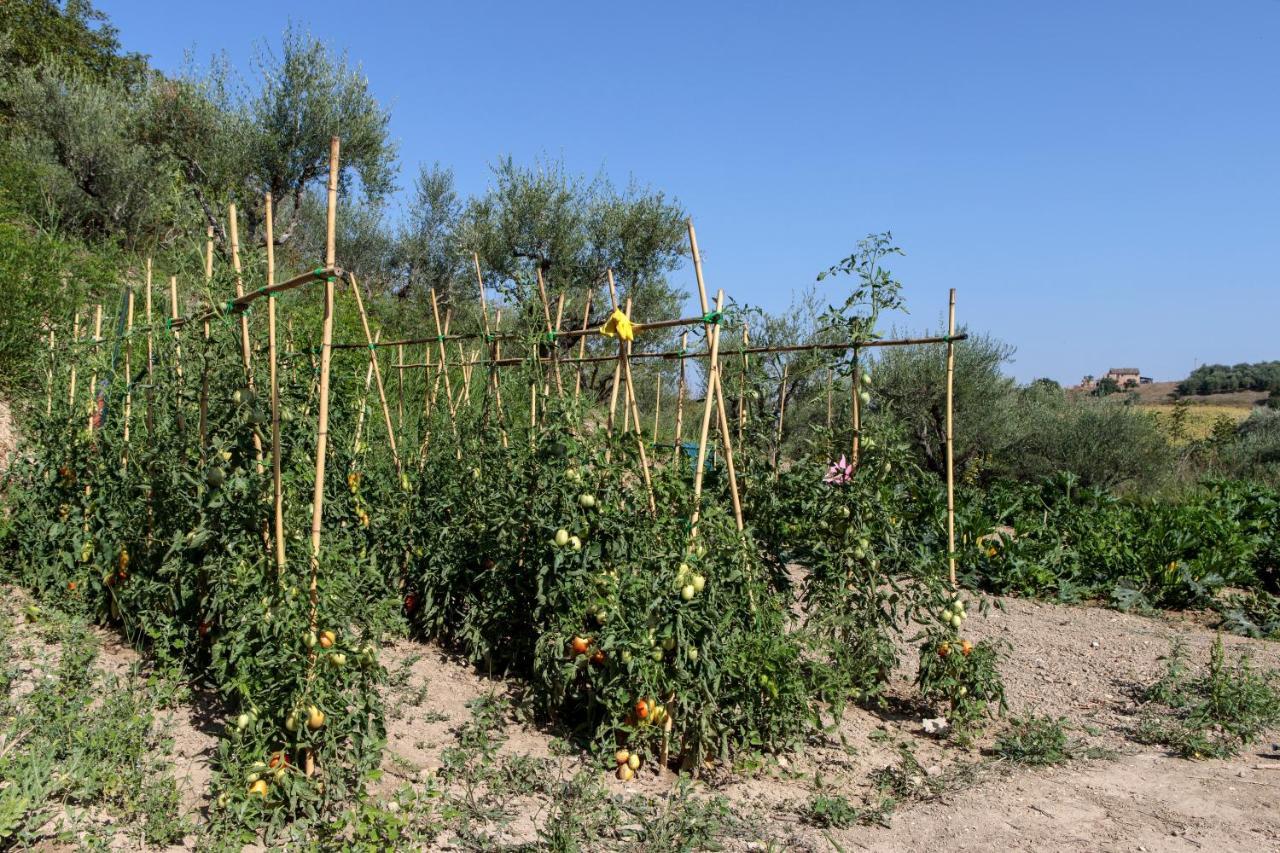 Tenuta Fonte Mosco' Ponzano di Fermo 외부 사진