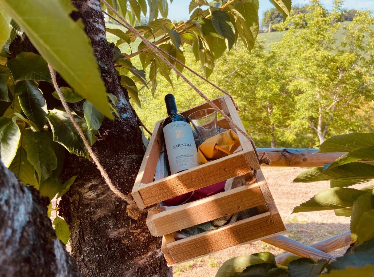 Tenuta Fonte Mosco' Ponzano di Fermo 외부 사진