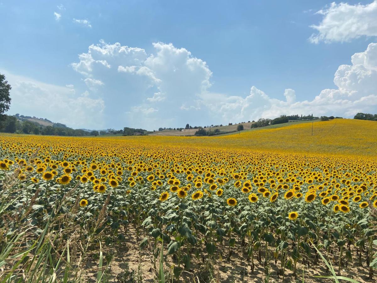 Tenuta Fonte Mosco' Ponzano di Fermo 외부 사진