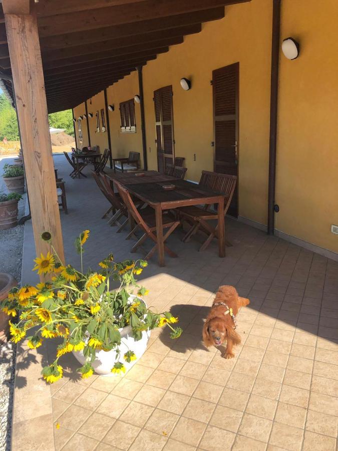 Tenuta Fonte Mosco' Ponzano di Fermo 외부 사진